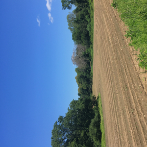 HELLO.BYE (Instrumental)