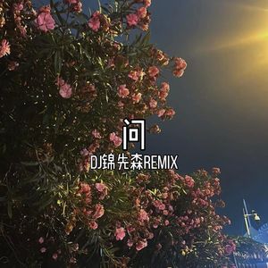 问（DJ锦先森 Remix）
