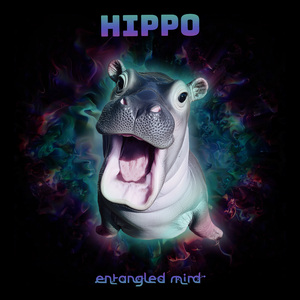 Hippo