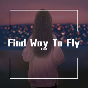 Find Way To Fly