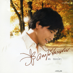 เพียงขอให้สบตา