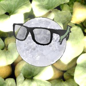 tell me what you felt