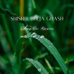Shishir Bheja Ghash (feat. Meherab Uddin Shokal)