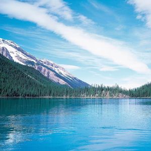 空气清新 (竖琴安眠曲)