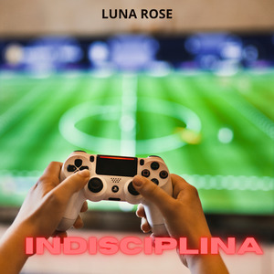 Indisciplina