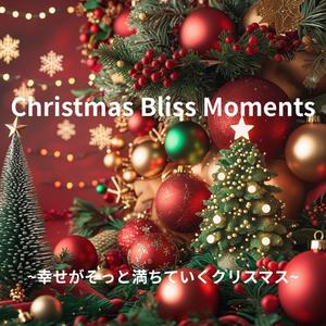 Snowflake Christmas Blessing ~雪の結晶が届けるクリスマスの祝福~