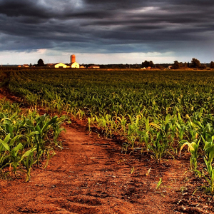 本来想一统天下