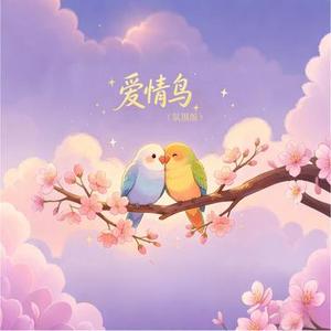 爱情鸟