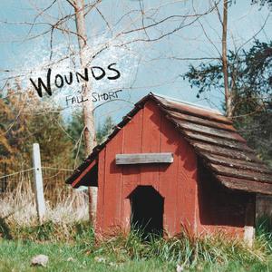 Wounds
