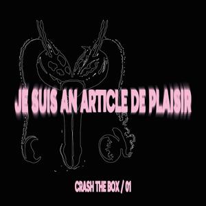 JE SUIS AN ARTICLE DE PLAISIR