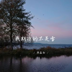 我期待的不是雪 (1.1X治愈版)