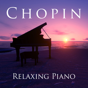 Sonata In G Minor For Cello & Piano, Op. 65:3. Largo