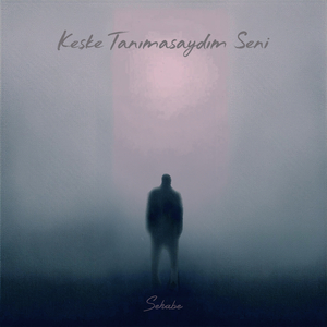 Keşke Tanımasaydım Seni