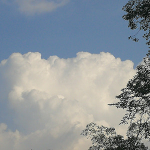 不二臣（cover：徐秉龙）