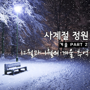 12월과 1월의 겨울 추억 (inst.)