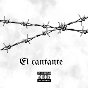El cantante