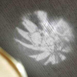 初雪的清晨.wav