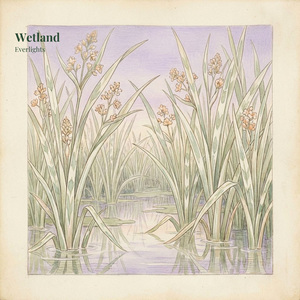 Wetland