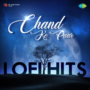 Beqarar Karke Hamen Yoon Na Jaiye - Lofi