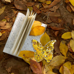 The Reason to Smile (微笑的理由)