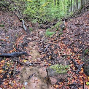 Schwarz-Weis Funkenflug