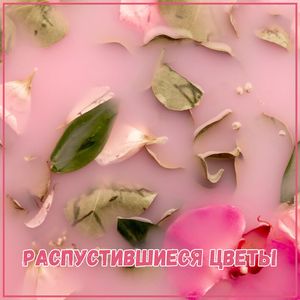 Безмятежный мир