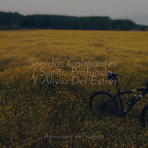 Susurrando secretos en la brisa