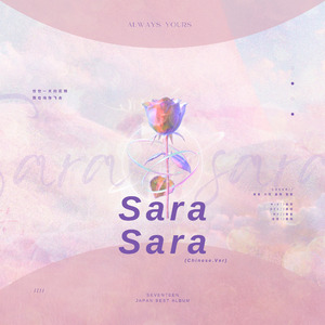 Sara Sara（中文填词版）