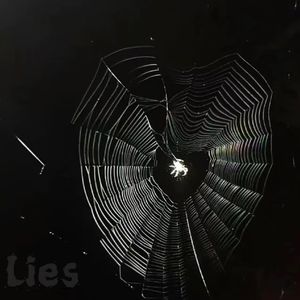 我们的爱情里 谎言无处不在(prod.tired)