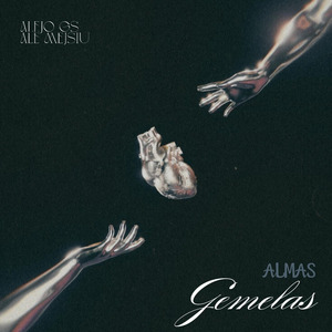 Almas Gemelas