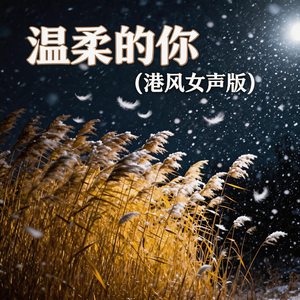 温柔的你(港风女声版)
