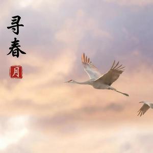 寻春 (Xún Chūn)