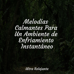 Soñar Sin Preocupaciones