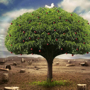 动地惊天爱恋过