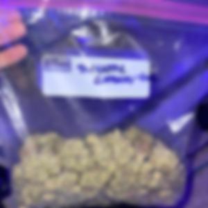 Pineapples & Trackhawks