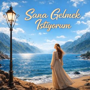 Sana Gelmek İstiyorum