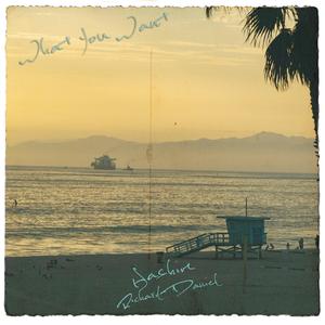 What You Want (feat. Richard Daniel)