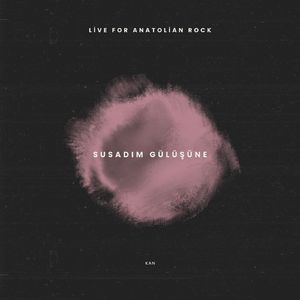 Susadım Gülüşüne