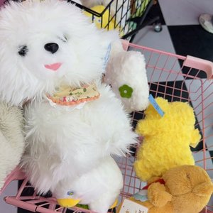 星辰般的闪亮