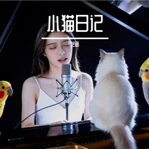小猫日记