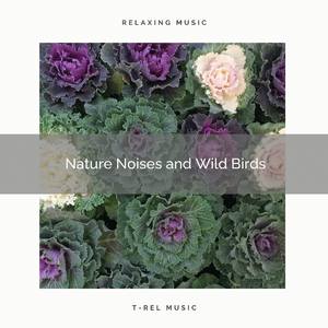 Gain Unique Sleep with Unique Nature Tunes pt. 2