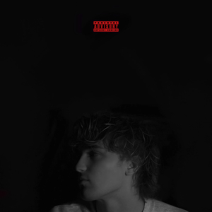 W.Y.W.D.