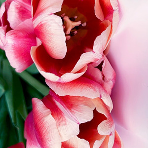 幸せはそこにあるよ