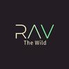 Rav - The Wild