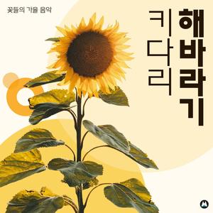 코스모스의 노래