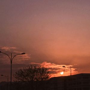 想我就想我的坏