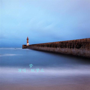 梦里梦外梦中物