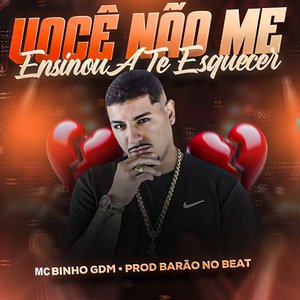 Você Não Me Ensinou a Te Esquecer
