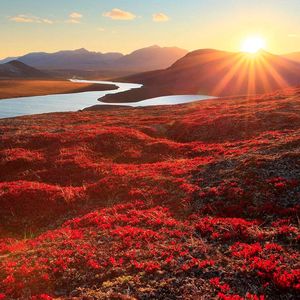 Снова зовёт Чукотка