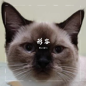 形容